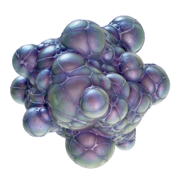 Axum Bacterial Culture