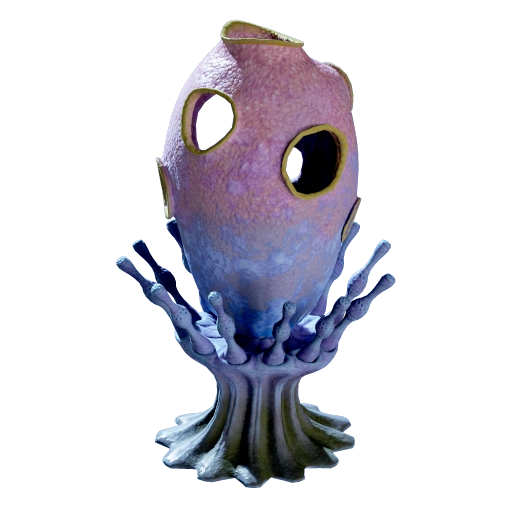 Amphora Sponge