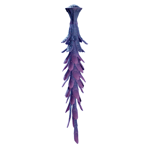 Jelly Lei