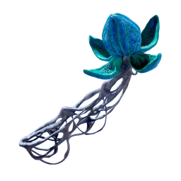 Bloom Canker