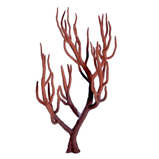 Branching Coral