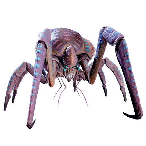Coral Crab
