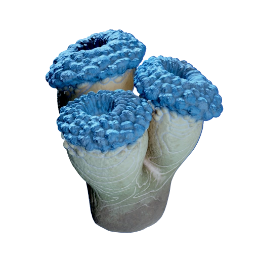 False Fission Drum