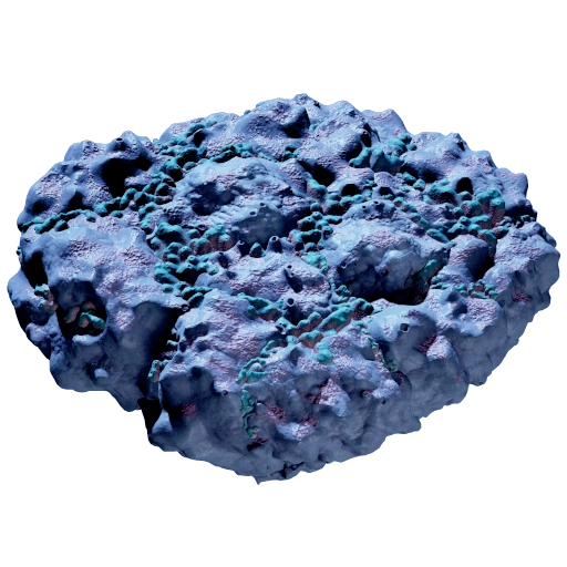 Pebbled Sporal