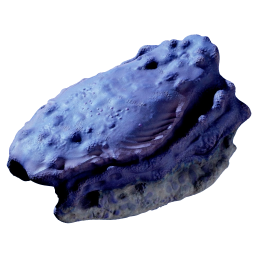 Titan Rockbore